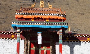 Business Development